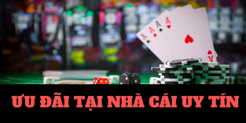 Top 10 Nhà Cái Tặng Tiền Cá Cược Miễn Phí 2024 Top 10 Nhà Cái Tặng Tiền Cá Cược Miễn Phí 2024